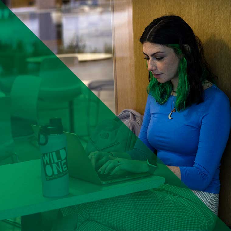 Student studies in the Woodbury commons.