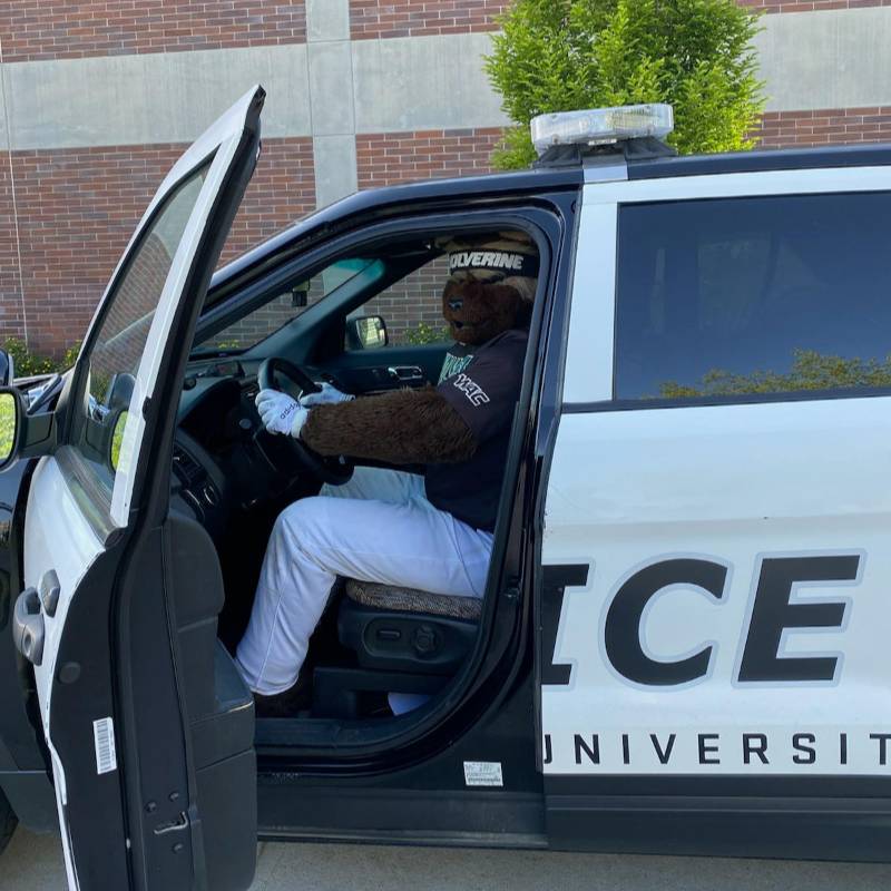 Willy the Wolverine in a UVU Police vehicle