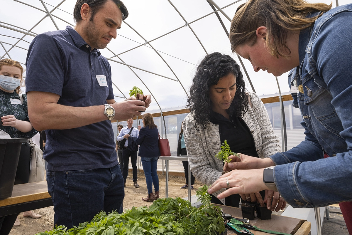 Students handle small plants in the UVU greenhouse.